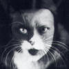 Irenaus Eibl-Eibesfeldt - Amore e odio, Gli Adelphi - Particolare della copertina, foto 'Io + gatto' di Wanda Wulz