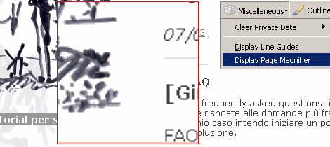 Strumento lente: Miscellaneous - Display page magnifier