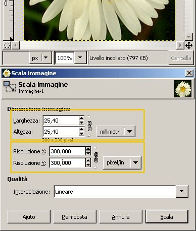 Finestra di modifica delle impostazioni di ridimensionamento di una foto